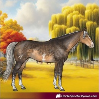 Horse Color:White Spotted Silver Buckskin