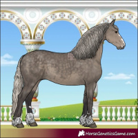 Horse Color:Silver Smoky Grullo