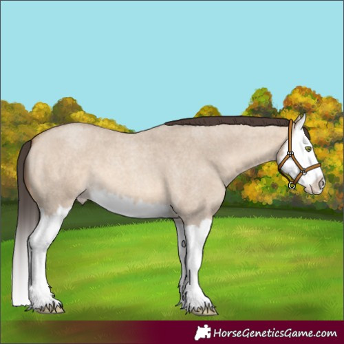 Horse Color:Sable Champagne Roan Dun Splash 