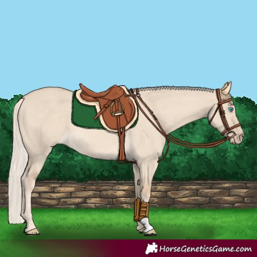Horse Color:Cremello Dun 