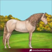 Horse Color:Gold Champagne Pearl Rabicano  and Gold Champagne Pearl Rabicano 