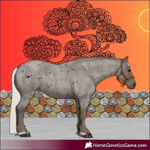 Horse Color:Silver Blue Roan 