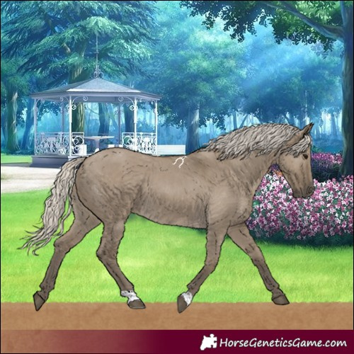 Horse Color:Silver Smoky Grullo 
