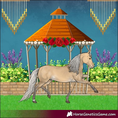 Horse Color:Silver Buckskin Dun 