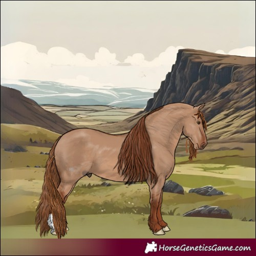 Horse Color:Red Dun 