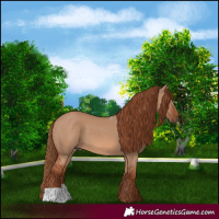 Horse Color:Red Dun 