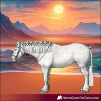Horse Color:Cremello Near Leopard