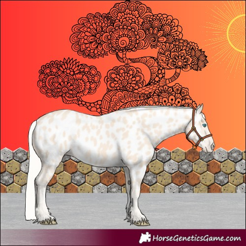 Horse Color:Cremello Near Leopard 