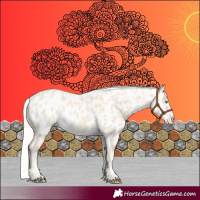 Horse Color:Cremello Near Leopard