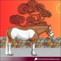 Horse Color:Chestnut Splash Frame 