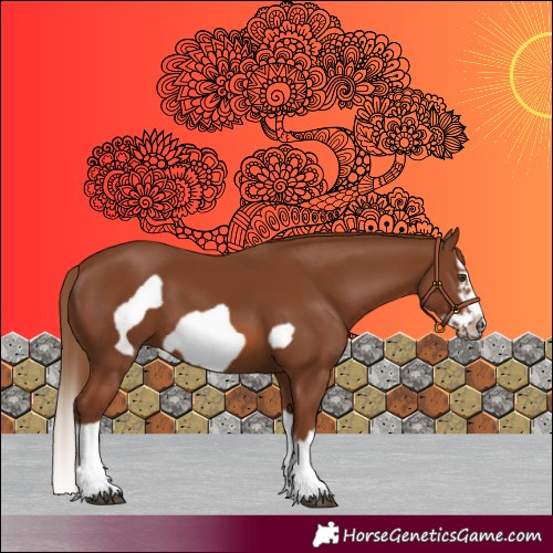 Horse Color:Chestnut Splash Frame 