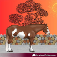 Horse Color:Chestnut Splash Frame 