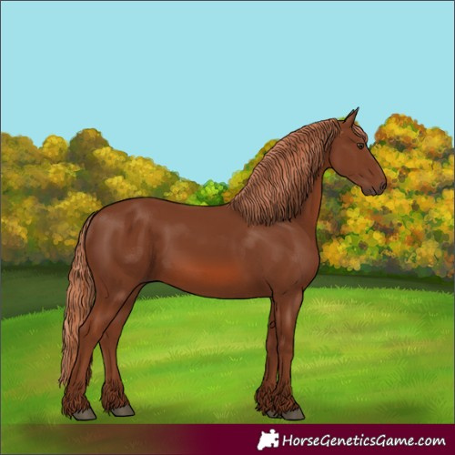 Horse Color:Chestnut 