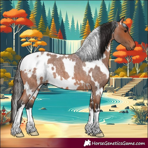 Horse Color:White Spotted Bay Roan 