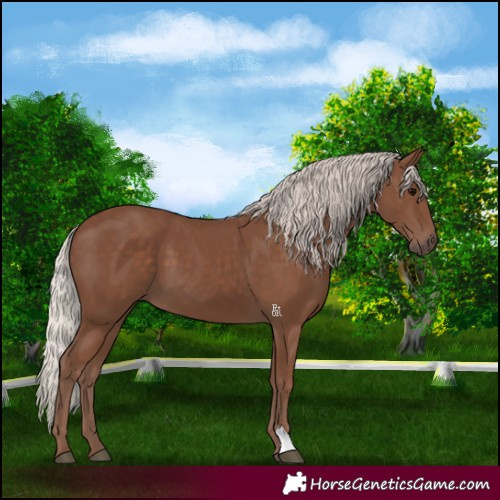 Horse Color:Silver Black 