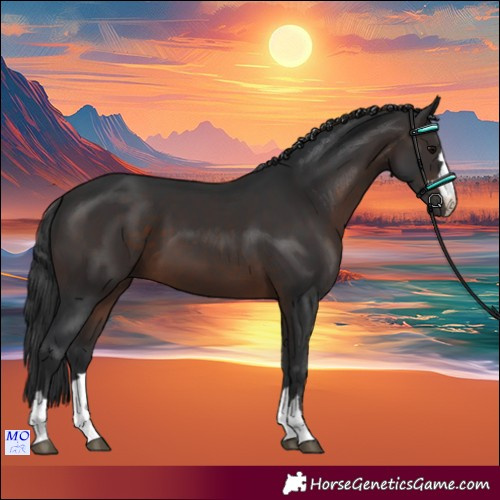 Horse Color:Brown 