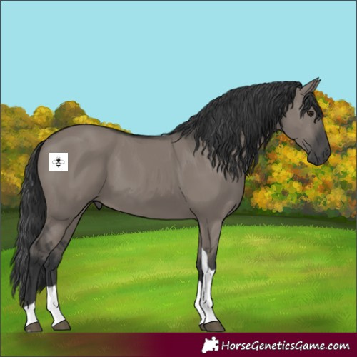 Horse Color:Grullo Tobiano 