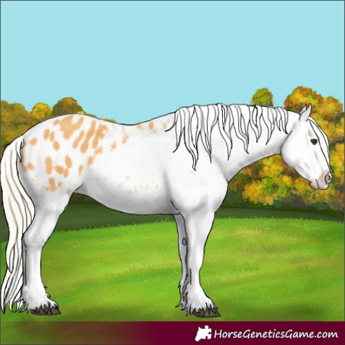 Horse Color:Palomino Varnish