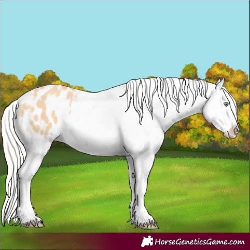 Horse Color:Silver Classic Cream Champagne Dun Varnish 