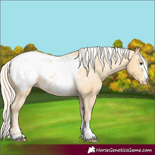 Horse Color:Palomino Snowcap 