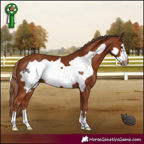 Horse Color:Chestnut Frame 