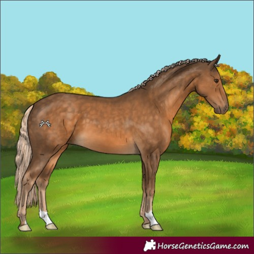 Horse Color:Unknown 