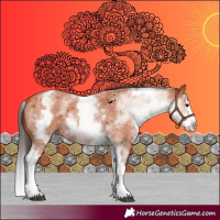 Horse Color:White Spotted Bay Roan Splash