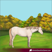 Horse Color:Classic Champagne Pearl Mushroom 