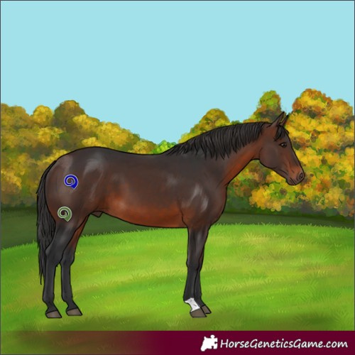Horse Color:Brown 