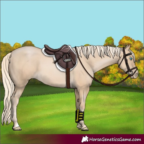 Horse Color:Palomino Pearl 