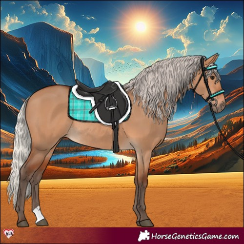 Horse Color:Silver Bay Dun Rabicano 
