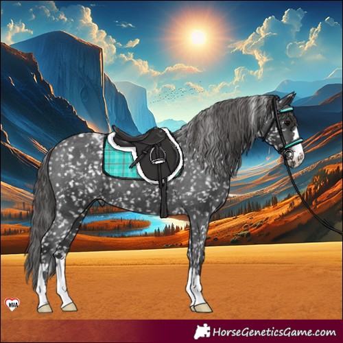 Horse Color:Black Snowflake Varnish 