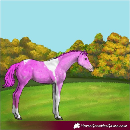 Horse Color:Watercolor Liver Chestnut Sabino Tobiano Rabicano 