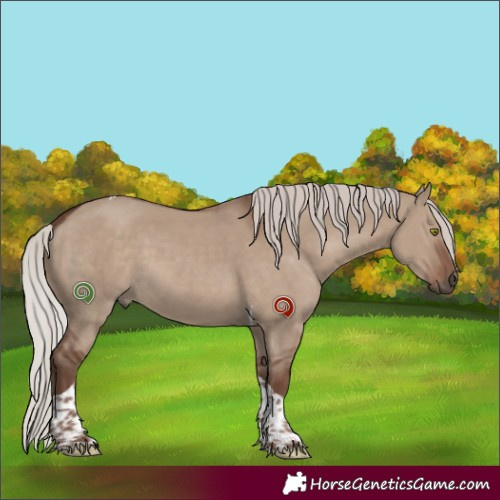 Horse Color:Silver Grullo Tobiano