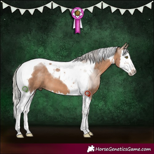 Horse Color:White Spotted Silver Bay Dun Splash Tobiano 