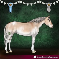 Horse Color:White Spotted Silver Bay Dun Tobiano Rabicano