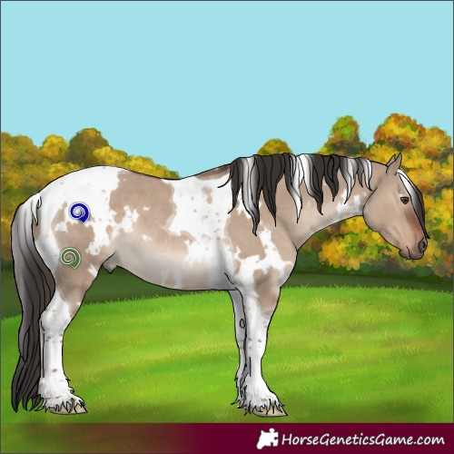 Horse Color:White Spotted Liver Red Dun Tobiano Rabicano