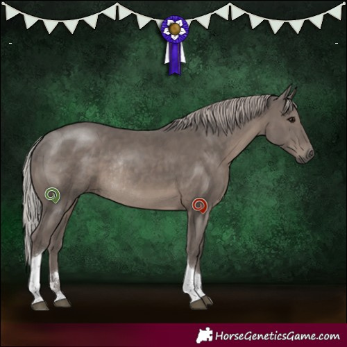 Horse Color:Silver Black Tobiano Rabicano