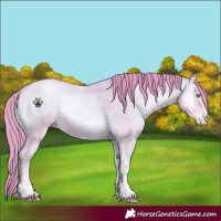 Horse Color:Watercolor Amber Champagne Pearl Onyx
