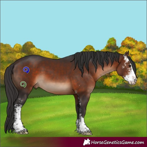 Horse Color:Brown Sabino