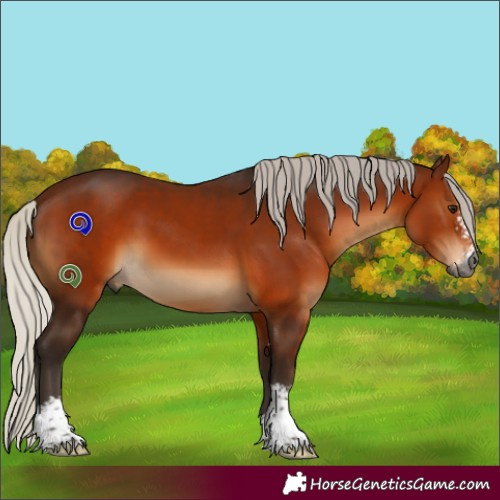 Horse Color:Gray Silver Bay Sabino 