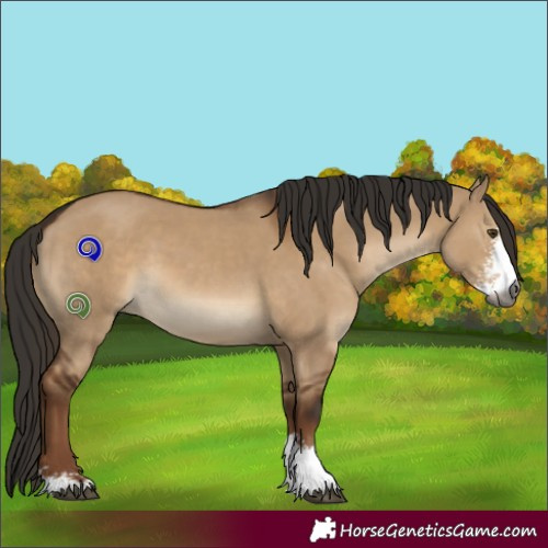 Horse Color:Gray Liver Red Dun Sabino 
