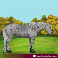 Horse Color:ERROR: UNKNOWN ANOMALY
