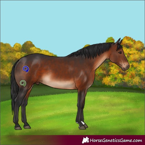 Horse Color:Brown 