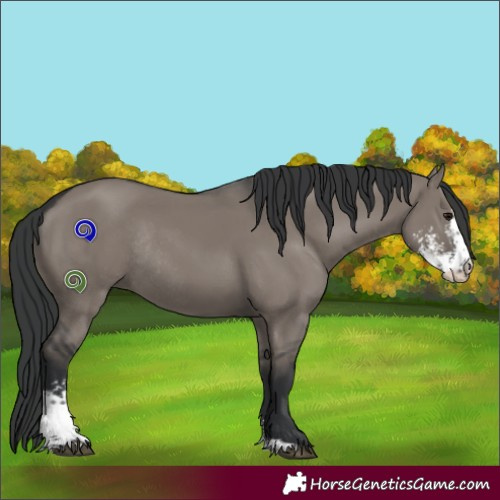 Horse Color:Grullo Sabino Rabicano