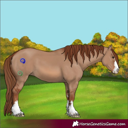 Horse Color:Red Dun