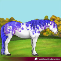 Horse Color:Watercolor White Spotted Brown 