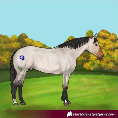 Horse Color:Brown Roan Dun 