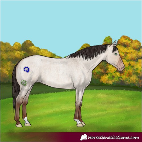 Horse Color:Sable Champagne Roan Dun Rabicano