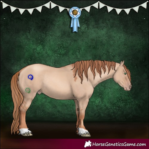 Horse Color:Gold Champagne Dun Rabicano